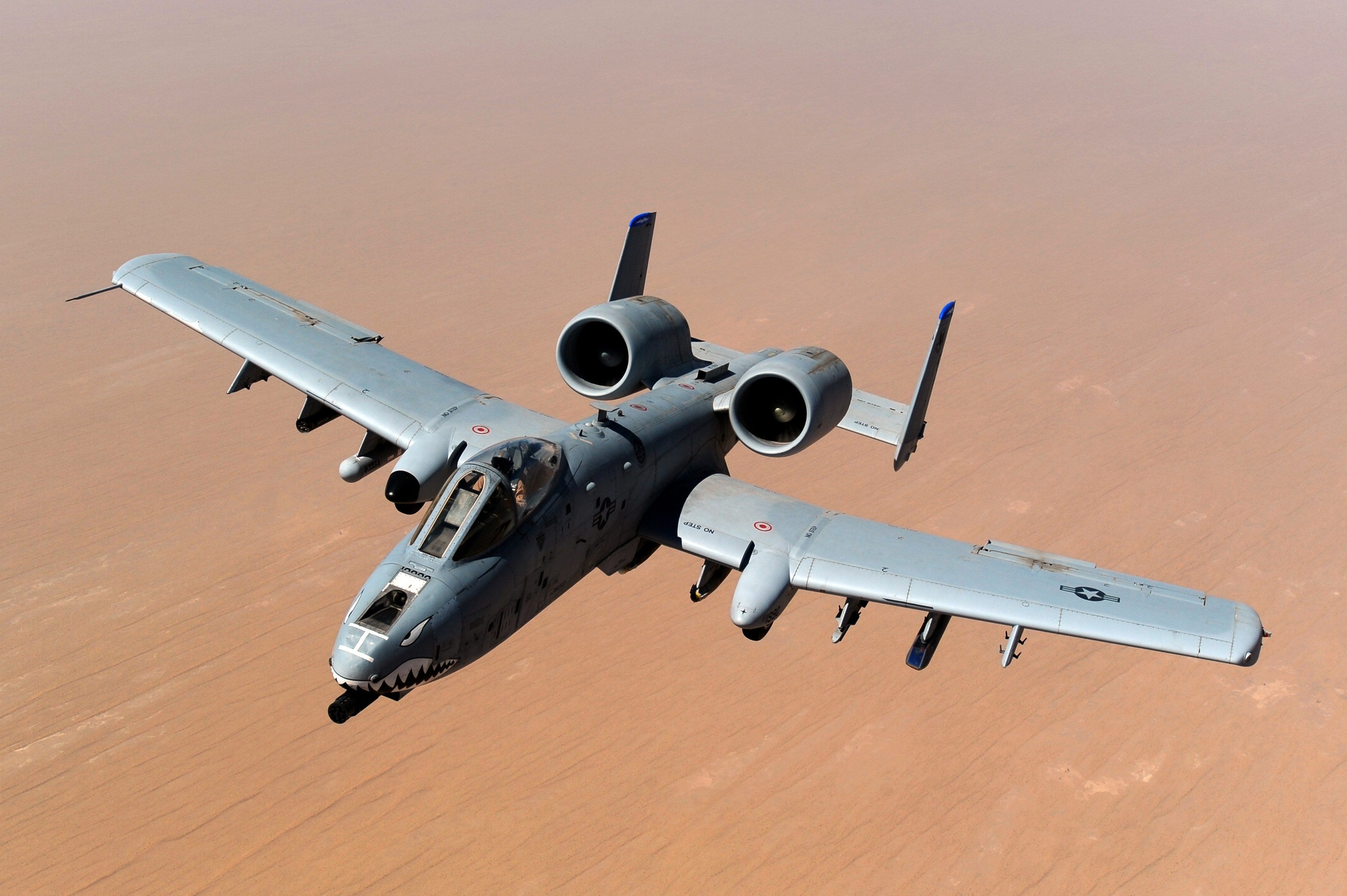 A-10 Freedom Delivered